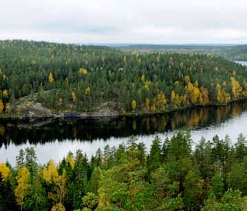 Määkijä - Repovesitie Sijainti: N 61 09.442 E 026 51.450 Esihistoriallinen aika Repoveden alueella on ollut ihmisasutusta jo todella kauan. Muinaisesta asutuksesta kertovat mm.