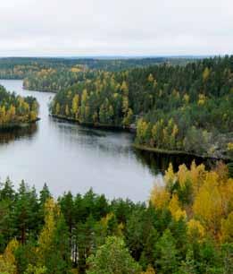 Hunkerinromput - Repovesitie Sijainti: N 61 04.844 E 026 47.555 Jääkausi Selänpään laaja suistoalue erottuu selvästi maisemasta. Selänpään suistoalue on osa Suomen läpi kulkevaa toista Salpausselkää.