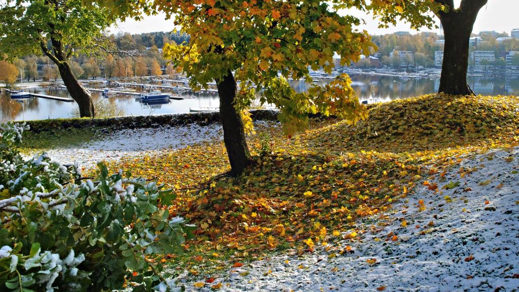 Autot Lappeenrannan kaupungin katukuvaan uusiutuvalla