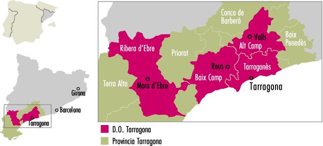 DO Tarragona Tarragonan seutu sekä Alt Camp, Baix Camp ja la Ribera d'ebren alueet muodostavat DO Tarragonan. Maantieteellisesti alue sijoittuu Ebron ja Välimeren välille.