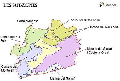 DO Penedès Alue on ehkä koko Euroopan monipuolisin ja Katalonian tuottoisin viinialue. Penedes erottuu edukseen myös laadustaan sekä dynaamisuudestaan.