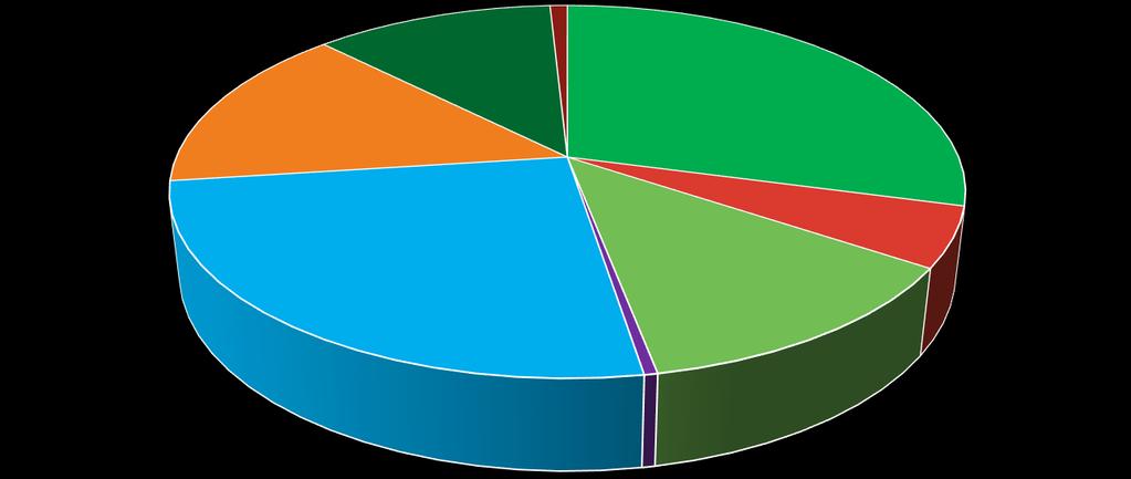 Toimintakatteen jakautuminen pääluokissa Kasvatustyö 12 % 1 % 29 % 15 % 5 % 25 % 13 % 0 % Päiväkerho Pyhäkoulu