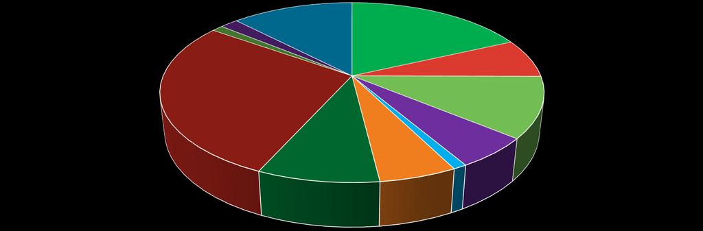 Pääluokkien toimintakulut Seurakunnallinen työ 1 % 2 % 12 % 18 % 7 % 28 % 11 % 9 % 5 % 6 % 1 % Jumalanpalveluselämä Hautaansiunaaminen Muut kirkol.