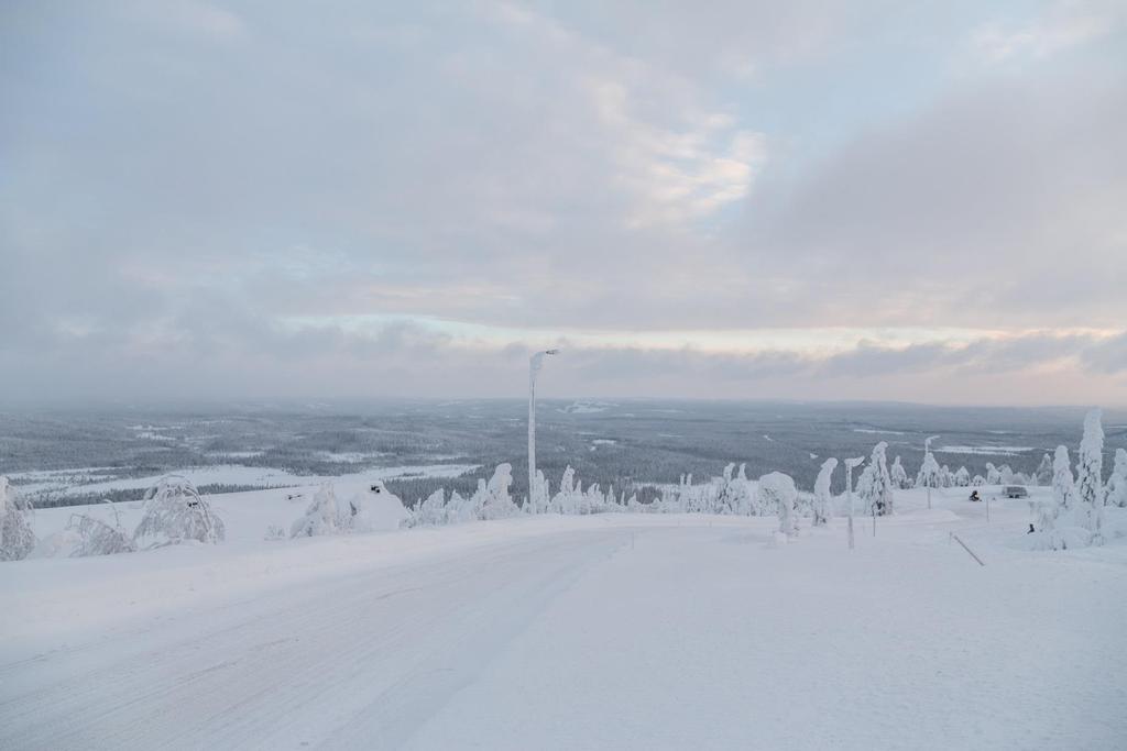 1. Yleiskatsaus 2. Nokian Renkaiden taloudellinen katsaus 3.