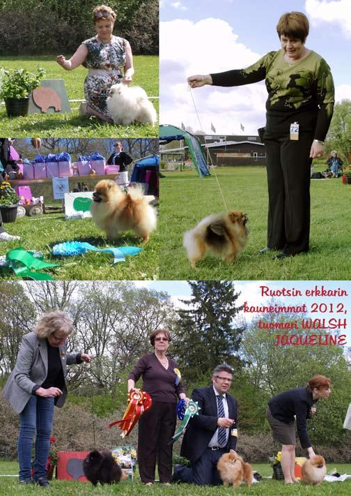 ERIKOISNÄYTTELY RAJAN