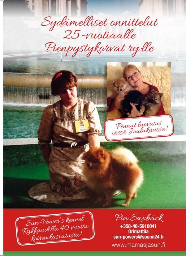 Pienpystykorvat 4/2016