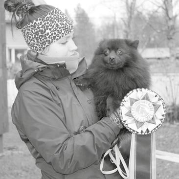 Kasvattajalle ne tarjoavat mahdollisuuden nähdä kasvattejaan luovutusiän jälkeenkin, miten ne ovat kasvaneet ja kehittyneet.