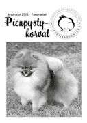 Amerikkalaiset Pipsqueak-tuotteet, joissa taiteilijan piirtämä pommin kuva kortti + kuori 1,50 laatikko, jossa 12 korttia ja kuorta 15 T-paidat (iso logo selässä +