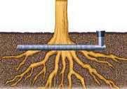 3. Kastelu/Ilmastus K astelu/ilmastus Hyvä hapen tarjonta, vesi ja ravinteet on edellytys juurien hyvälle kasvulle ja terveille puille TEHOKKAAN KASTELUN/HAPEN- SAANNIN PERIAATTEET.