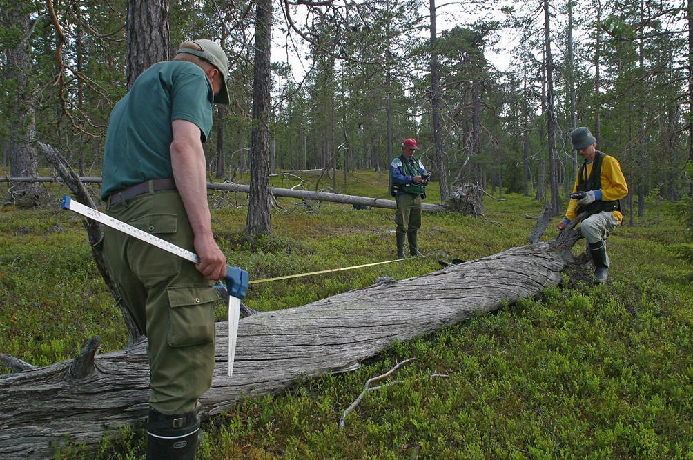 Metsät ja maankäyttösektorin menetelmät Valtakunnan metsien inventointiaineistot (VMI) Pinta-alan