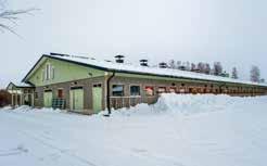 elävästä elämästä Penttilä, Outokumpu Eeva ja Pasi Alava sekä lapset Niko,13, ja Henna, 11. Pihatto vuodelta 2003, robotti vuodesta 2013 Peltoa 80 ha vuokramaineen.