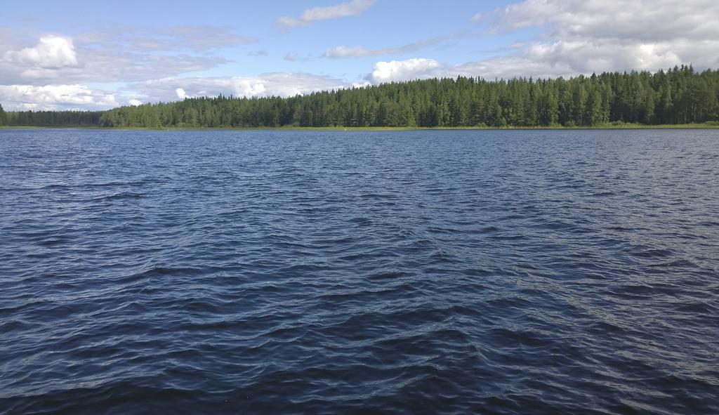 MAISEMALLISET ARVOT Nurmelan alueelle suunnitellaan asuintontteja, jotka käsittäisivät lähes koko alueen, myös rannat.