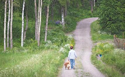 Uusi kirkko sijoittuu Asematien ja Vehkapolun kulmaan. Muut katuun rajautuvat tilat varataan liiketiloiksi, Asematien ja Vehkapolun varrella käytännössä kokonaan ja Unikkotien puolella osittain.