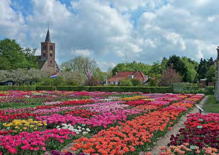 13 mei: Gezamenlijke lentetrip naar de Hortus Bulborum Samen met de Vereniging Nederland-Noorwegen 6 Jullie zijn van harte welkom op onze gezamenlijke lentetrip naar de tuinen van de stichting Hortus