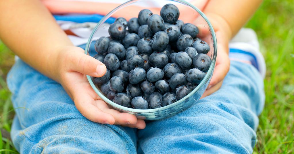 Ravitsemusterapeutin työpäivä kunnassa Tehokasta palvelua paikkakunnalle tuotuna Ravitsemusterapeutin palvelut kunnille Vaikuttavaa ennaltaehkäisyä ja hoitoa ODL:n laillistetut ravitsemusterapeutit