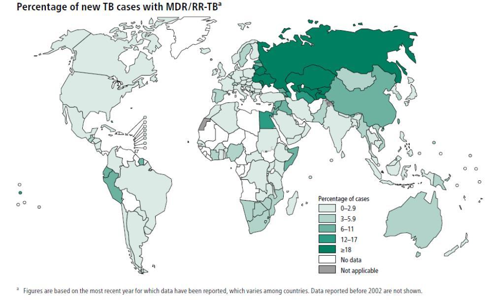 Monilääkeresistentti (multidrug-resistant, MDR) tuberkuloosi tarkoittaa tuberkuloosia, joka on vastustuskykyinen kahdelle tärkeimmälle tuberkuloosin hoidon peruslääkkeelle, rifampisiinille ja