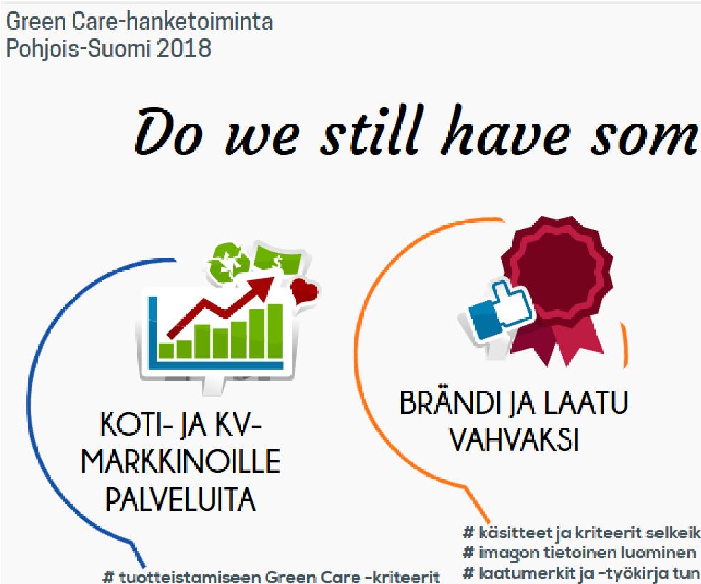 Kehityksen alkuvaiheessa toiminnan vetäminen on usein muutamien henkilöiden vastuulla, mikä tekee verkostosta hauraan.
