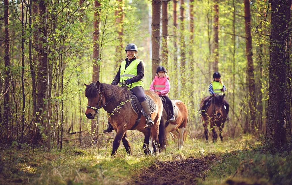 9. Kehittämishankkeilla on paikkansa, mutta miten paikataan aukkoja? Green Care -toimintatapaa voidaan luonnehtia uusvanhaksi.