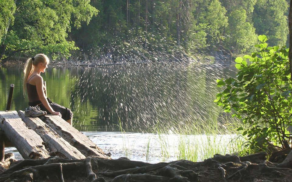 13. Monikanavainen viestintä Green Care -koordinaatiohankkeessa Green Care Finland ry:n toiminnassa tiedonvälitys on ollut keskeisessä asemassa yhdistyksen perustamisesta lähtien.