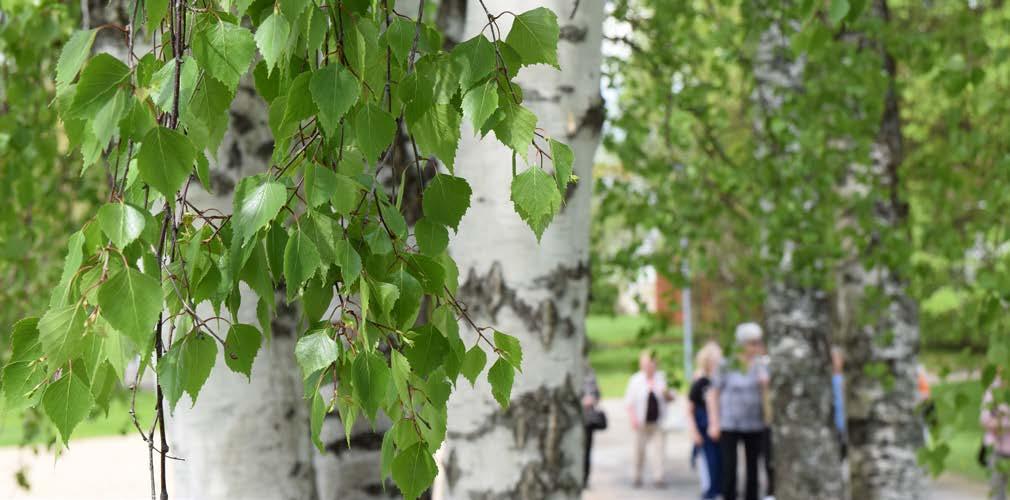14. Millaista on Suomalainen Green Care vuonna 2018 strategiakyselyn mukaan Suomalaista Green Care -strategiaa valmisteleva Webropol-kysely työstettiin Valtakunnallisessa Green Care