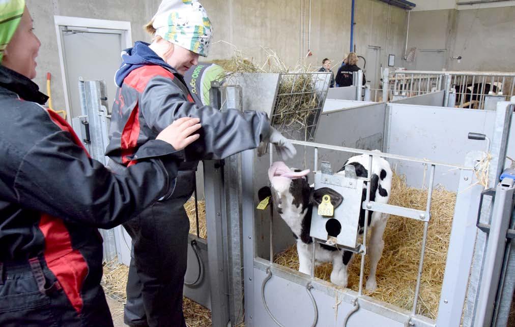 Luontoperustaisen kokemuksen reflektointi ja ohjaus Työkirjassa aikaisemmin käytetty luontolähtöinen -termi korvattiin luontoon perustuva -ilmaisulla tai luontoperustainen -termillä.