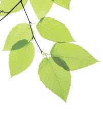 MetsänOmistaja 1/2016 3 METSÄSELAIN - metsäsuunnitelma taskussa Metsänhoitoyhdistyksen uusi sovellus mahdollistaa metsäsuunnitelman selaamisen vaikka metsässä älypuhelimen tai tabletin kautta.
