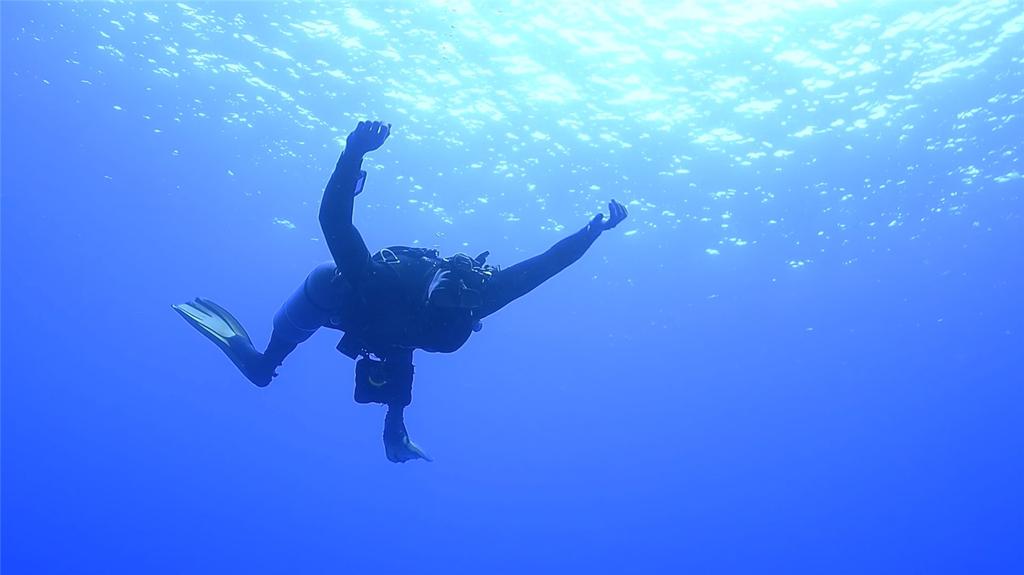 Olet asiantuntija myös sidemount-sukelluksessa. Sidemountin ansiosta sukeltajat voivat ottaa paremmin huomioon luonnon, jossa he ovat.