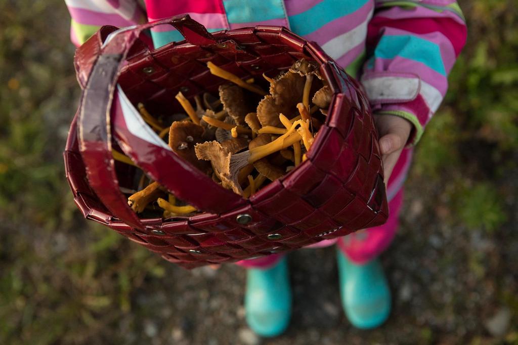 tutustuttaa erilaisiin liikuntamuotoihin.