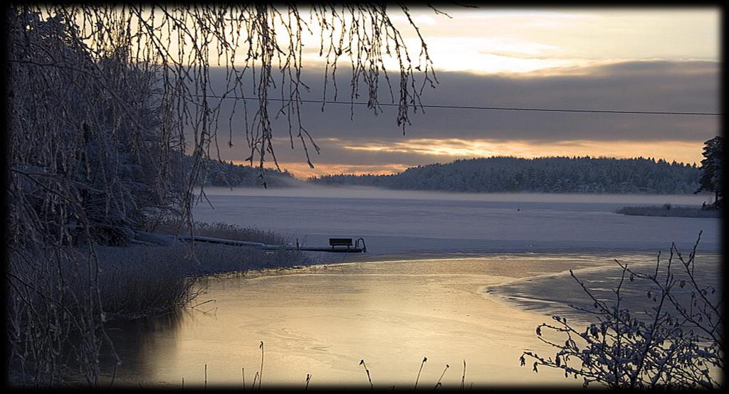 Turku vuosi 2017