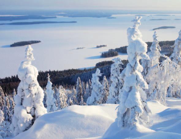 Suomalaisen