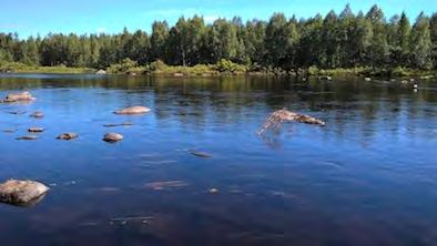 tarkkailualueilla.