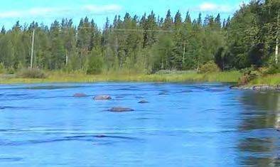 Kostonjoki, Rääpänkoski, kvl ap 1 Kostonjoki, Rääpänkoski, kvl ap 2