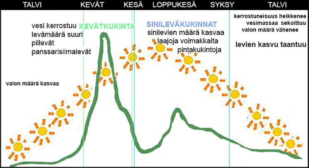 Kasviplanktonin