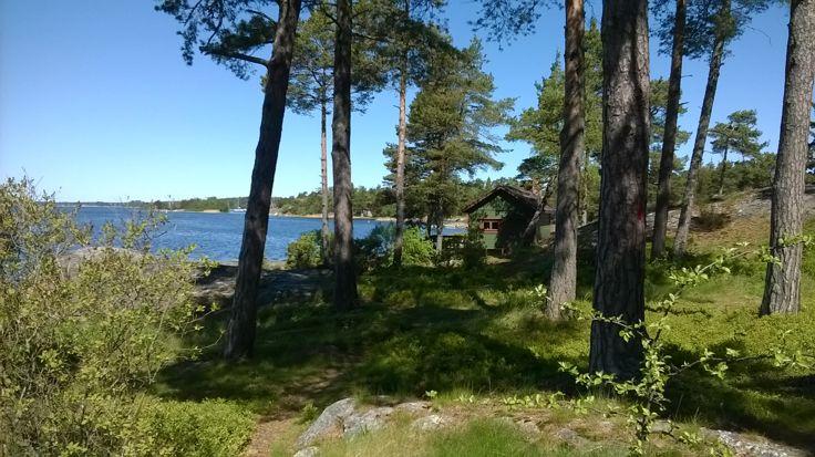 5 Kaava-alueen