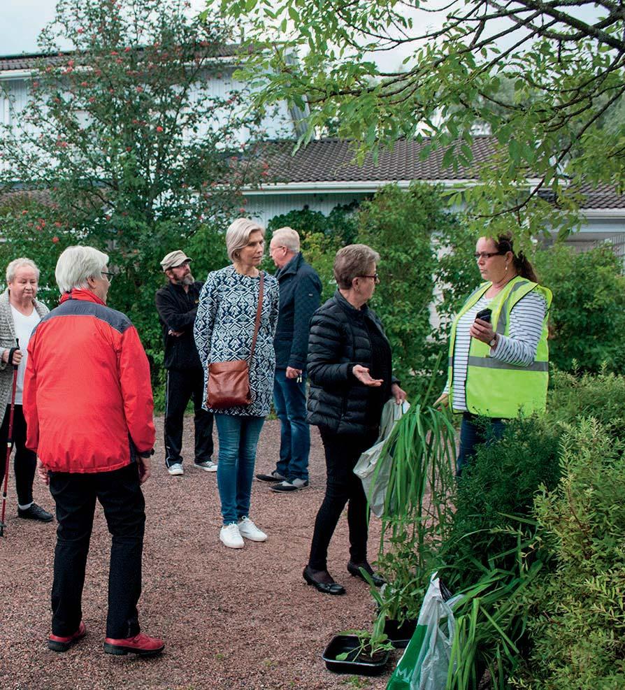 a eri kohteissa Mestarien perannanvaihtopäivä Mestariasunnot järjesti mestariasukkaille suunnatun tapahtuman, jossa asukkaat pääsivät vaihtamaan puutarhakasveja toistensa kanssa.