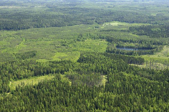 Maaperähiilen mittaaminen Hannu Ilvesniemi Metsäntutkimuslaitos