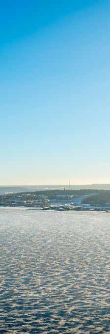 iivikkala entävänniemi Näsiselkä ähde: Maanmittauslaitos AUNTO
