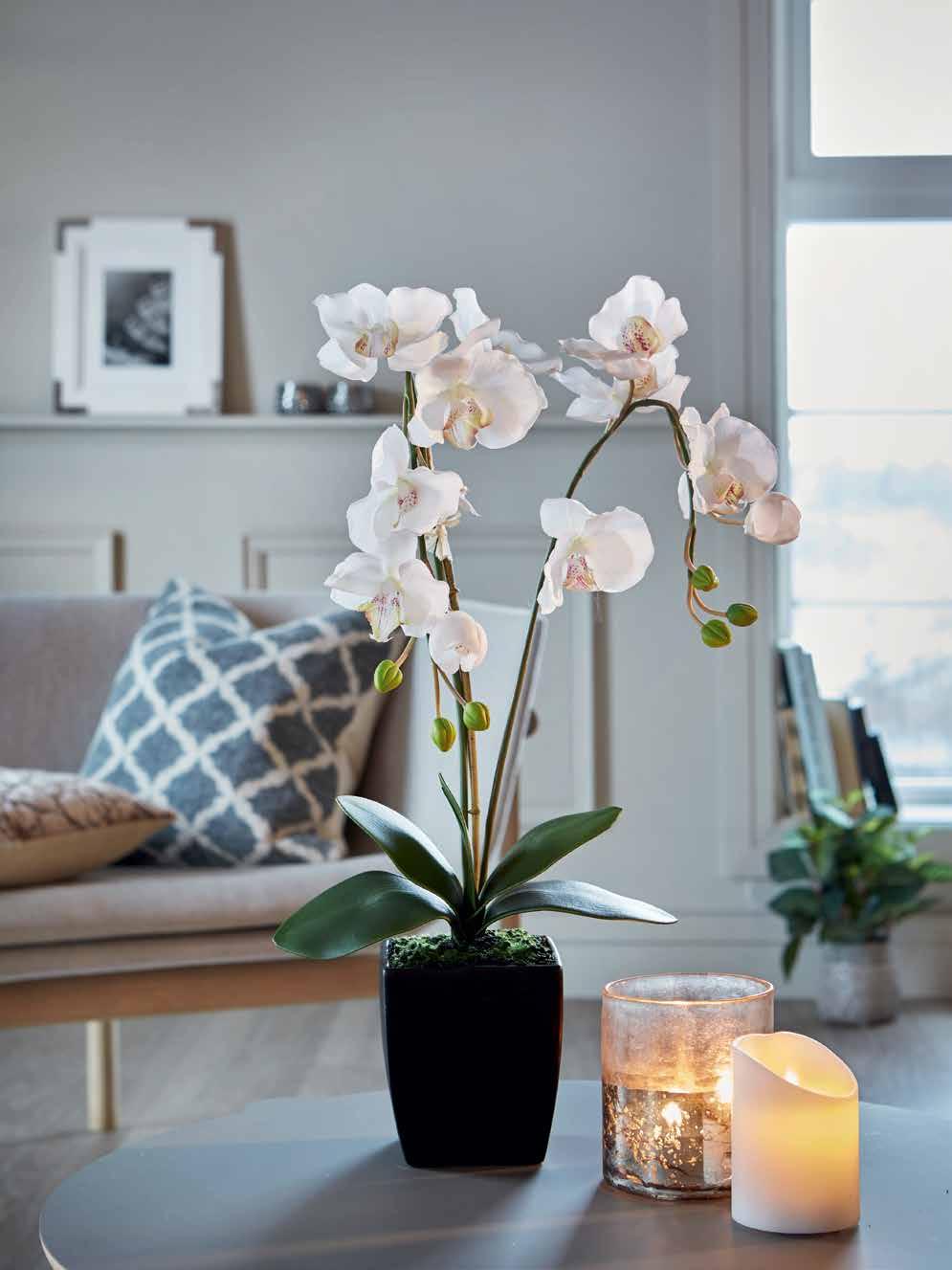 WHITE ORCHID WHITE ORCHID iso K80 cm Astia 12x12x12 cm 22300 49,90 ALHAMBRA TYYNY täytteellä 50x50 cm 22320
