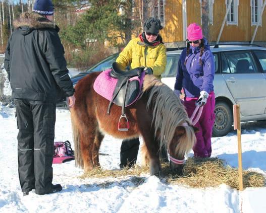 Tarjolla oli myös tuttuun tapaan hernekeittoa ja vohveleita. Päivään osallistui noin 120 reipasta talviliikkujaa. n Junnujen pikkujoulut järjestetään 29.11 perjantaina klo.17.00 Pajasaaressa.