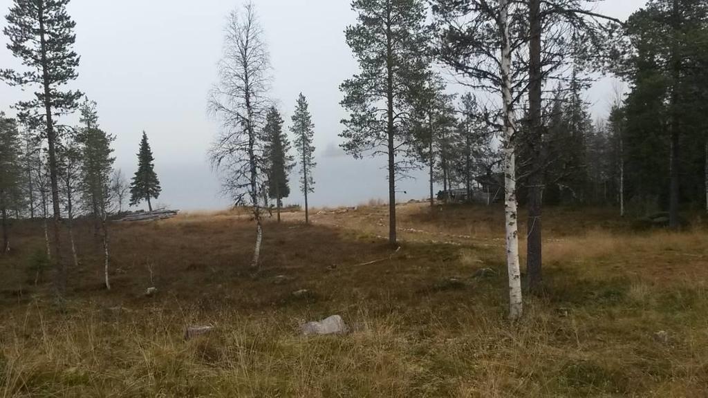 Yhteinen vesi- ja viemärihuolto on Virkkulantien varrella ja Virkkulan kylän alueella.