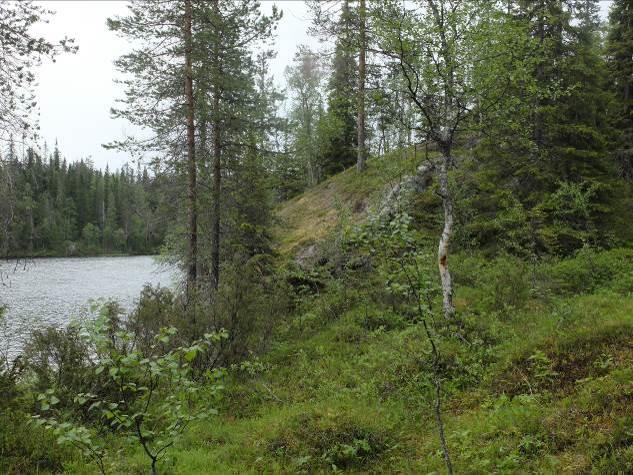 PORONTIMAN RANTA-ASEMAKAAVA 29 Kuva 29 Jaako Säkkisenniemen aluetta Pitkäniemen pohjoispäässä Kuva 30