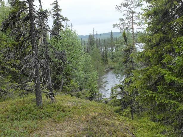 Vaikutukset talouteen Kaava-alueelle joudutaan parantamaan ja rakentamaan osittain loma-asutuksen