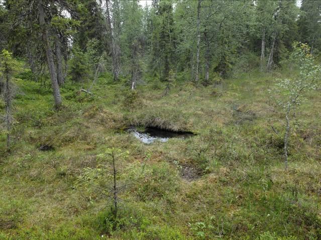 Rakentaminen ei kuitenkaan aiheuta maanomistajille, rakentajille tai yhteiskunnalle suuria kustannuksia.