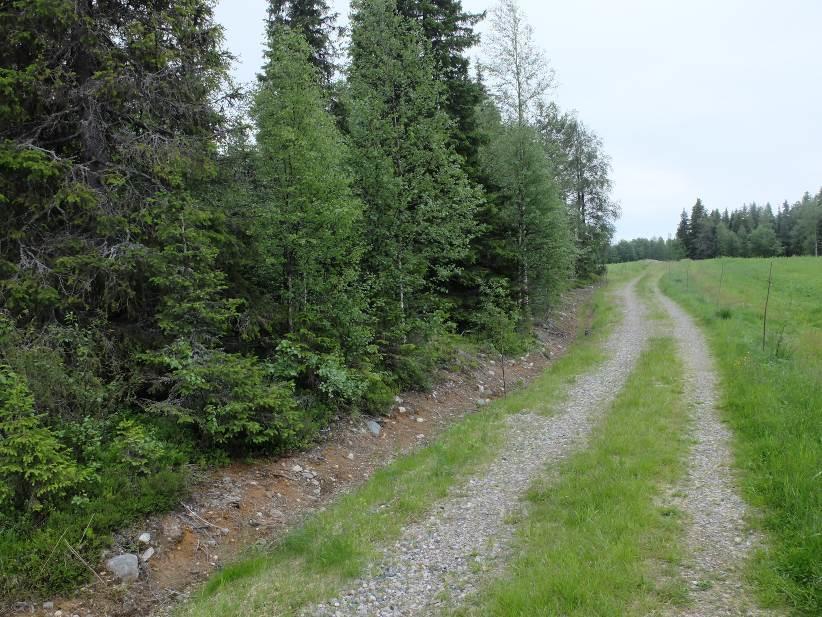 PORONTIMAN RANTA-ASEMAKAAVA 36 Kuva 33 Pitkäniemeen johtava tie.