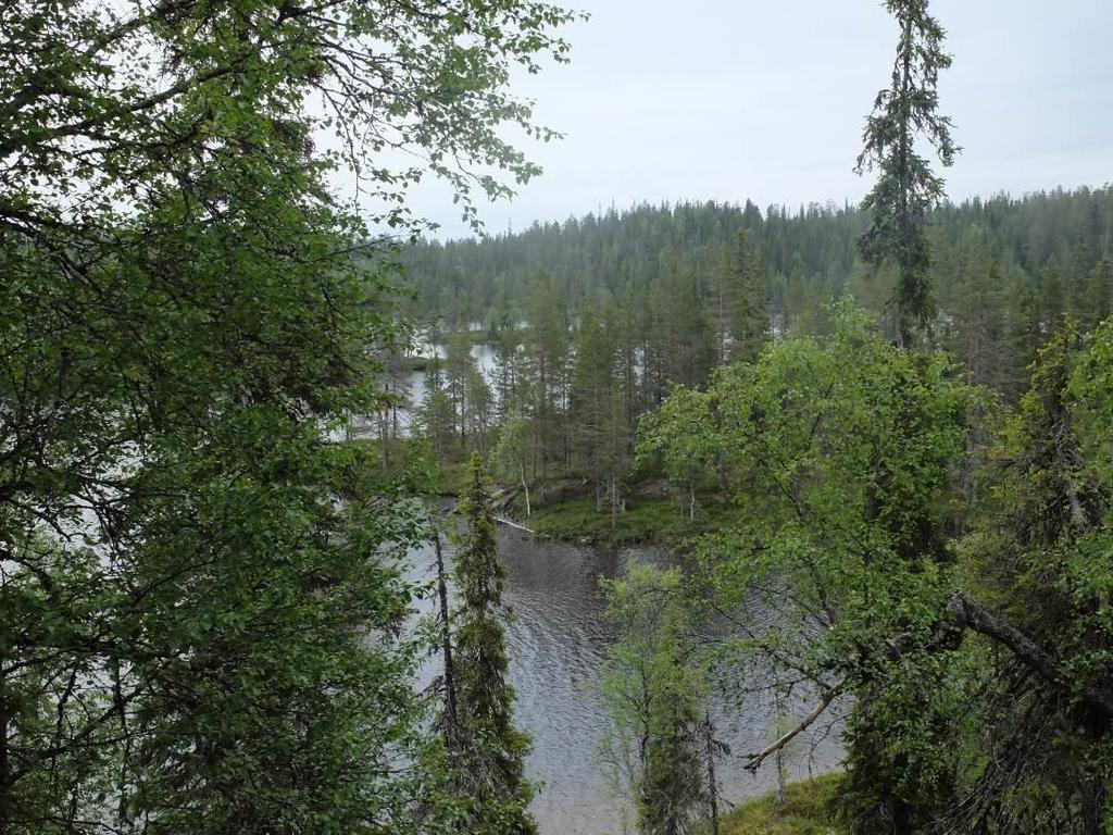 pohjoispäässä Alueen luonto- ja maisemaselvitykset on tehty