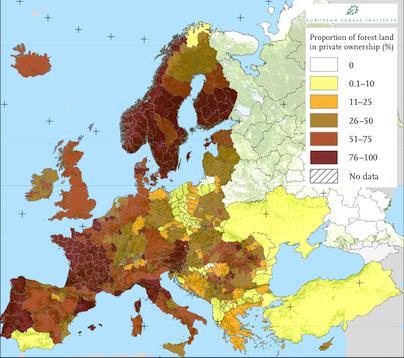 Yksityismetsänomistajat Euroopassa Noin 60% Euroopan metsistä on yksityisten metsänomistajien hallussa Noin 16 miljoonaa metsänomistajaa Pieniä metsätiloja (keskimääräinen tilakoko EU:ssa on 13