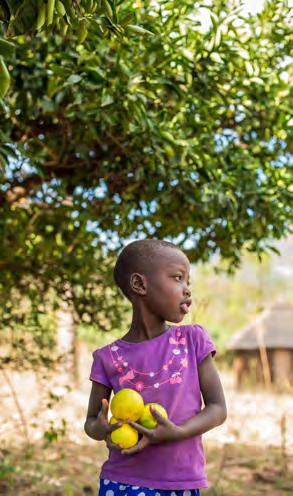 1.3 KENIA Kenia on yksi Afrikan nopeimmin vaurastuvista maista ja Itä-Afrikan liike-elämän keskittymä.