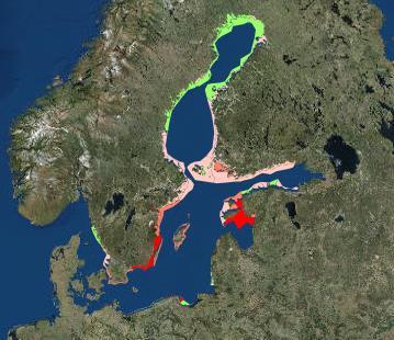Indikaattorin tulokset Perämeren, Merenkurkun ja Selkämeren rannikkovesityypeillä oli vesialueita vuosina 2011 2016, joissa kokonaistypen ja/tai fosforin pitoisuudet ilmensivät hyvää tilaa (Kuva 1).