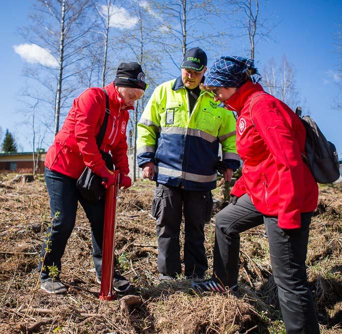 MARTAT OVAT MUUTOKSEN AJUREITA Martat suhtautuvat kestävään arkeen myönteisesti.