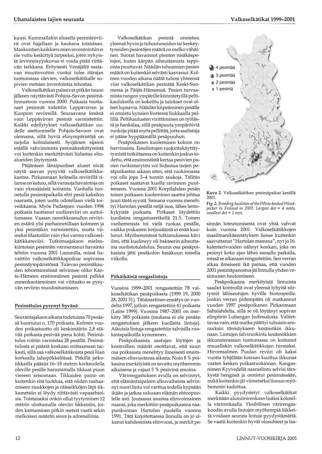 Valkoselkätikat 1999-001 kuusi. Kummallakin alueella pesimäreviirit ovat hajallaan ja kaukana toisistaan.